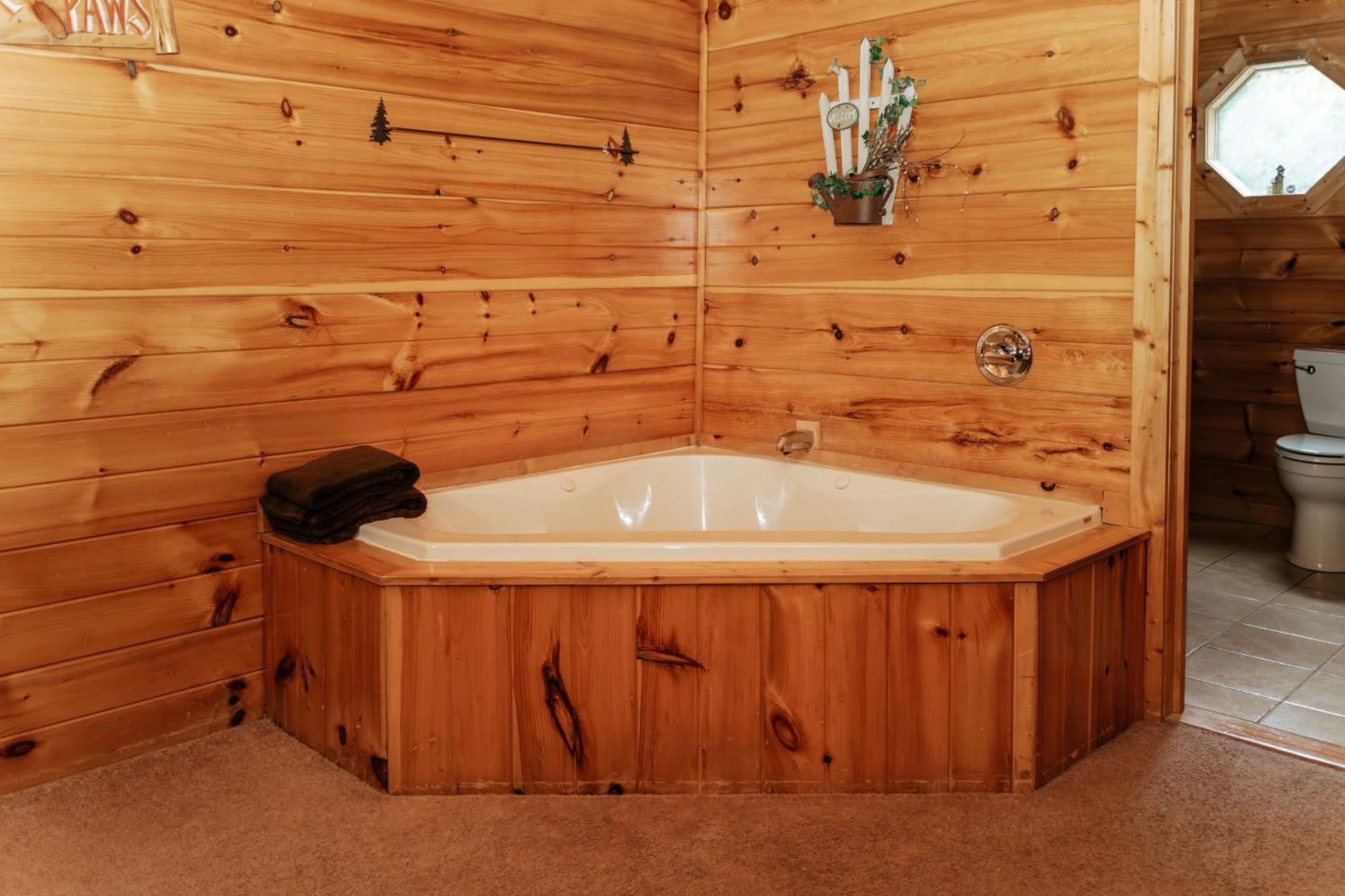 Mountain Seclusion Sevierville